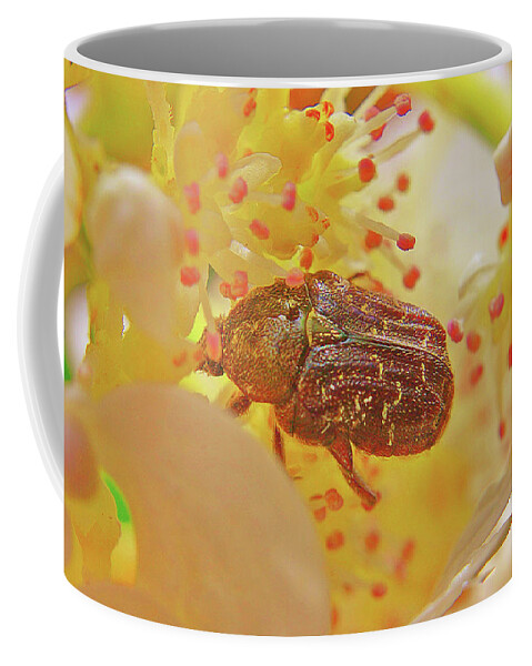 Inside The Plant Universe Coffee Mug featuring the photograph Plant Universe by Dennis Baswell