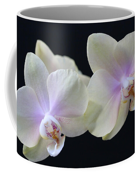 Orchids Coffee Mug featuring the photograph Playful Orchids by Tammy Pool