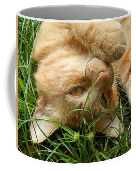 Cat Coffee Mug featuring the photograph Playing Cat by Jan Gelders