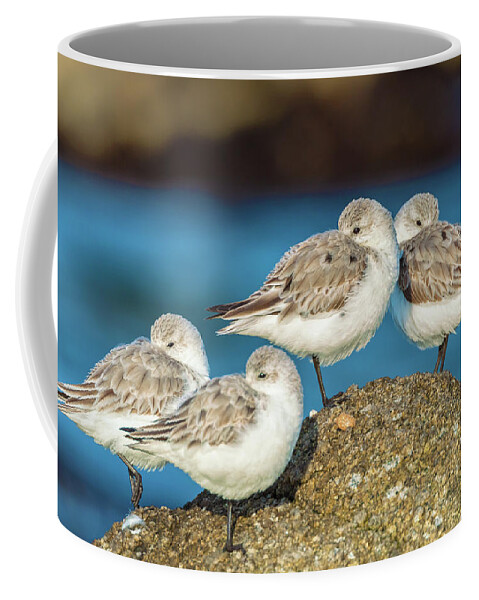 Animal Coffee Mug featuring the photograph Four Cuties by Jonathan Nguyen