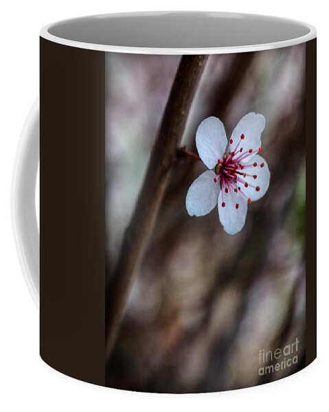  Coffee Mug featuring the photograph Plum Flower by Michael Arend