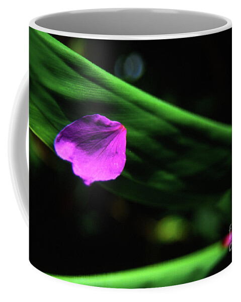 Anther Coffee Mug featuring the photograph Plumeria Flower Petal on Plumeria Leaf- Kauai- Hawaii by Rick Bures