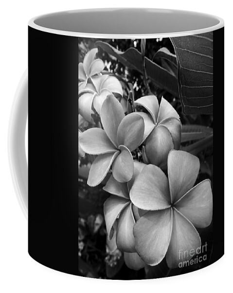 Plumerias Coffee Mug featuring the photograph Plumeria in Gray 2 by Onedayoneimage Photography