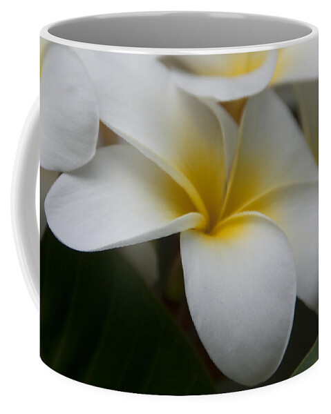 Kauai Coffee Mug featuring the photograph Plumeria by Steven Natanson