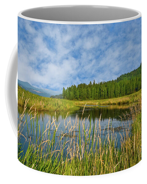 Beauty In Nature Coffee Mug featuring the photograph Plummer Creek Marsh by Jeff Goulden