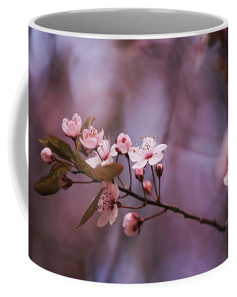 Pnw Blossoms Coffee Mug featuring the photograph PNW Blossoms by Lynn Hopwood
