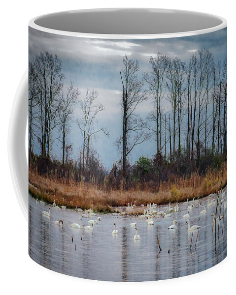 Nature Coffee Mug featuring the photograph Pocosin Lakes NWR by Donald Brown
