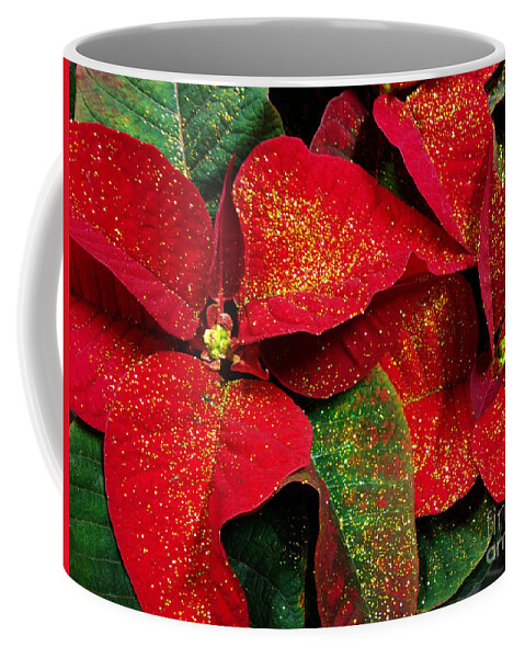 Christmas Decoration Coffee Mug featuring the photograph Poinsettia Gold by Jasna Dragun