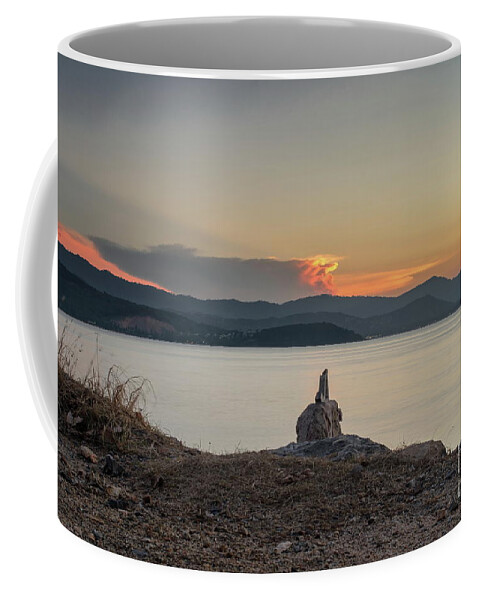 Michelle Meenawong Coffee Mug featuring the photograph Pointing On Sunset by Michelle Meenawong