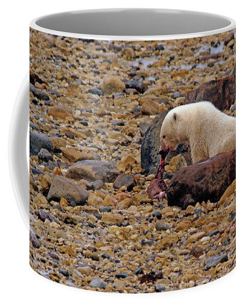 Polar Coffee Mug featuring the photograph Polar Bear Eating Ringed Seal by Ted Keller