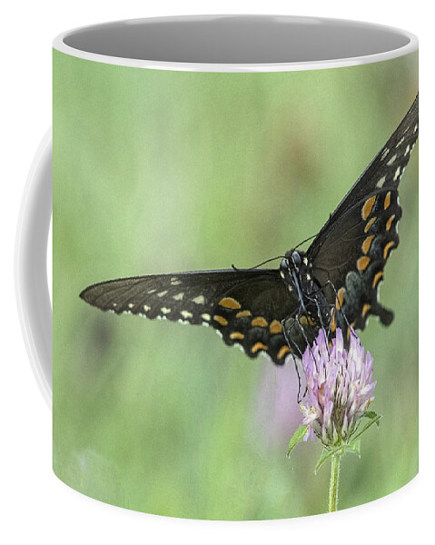 Butterfly Coffee Mug featuring the photograph Pollinating #2 by Wade Aiken