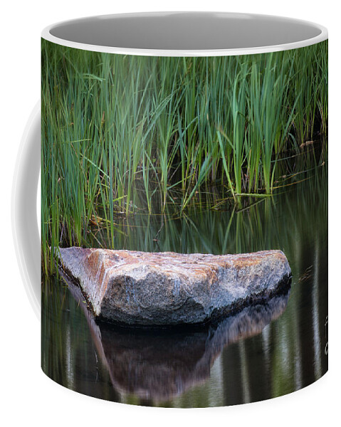 Pond Coffee Mug featuring the photograph Pond by Anthony Michael Bonafede