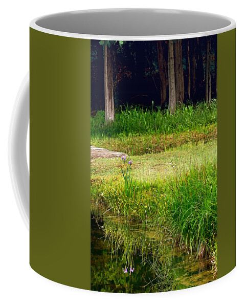 Water Reflections Coffee Mug featuring the photograph Pond Landscape Print by Gwen Gibson