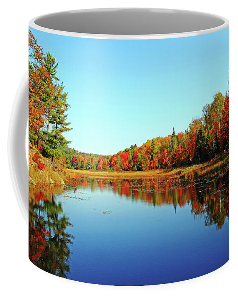 Killarney Provincial Park Coffee Mug featuring the photograph Pond Reflections by Debbie Oppermann