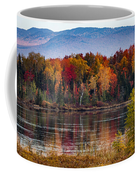 Pondicherry Wildlife Conservation Coffee Mug featuring the photograph Pondicherry fall foliage reflection by Jeff Folger