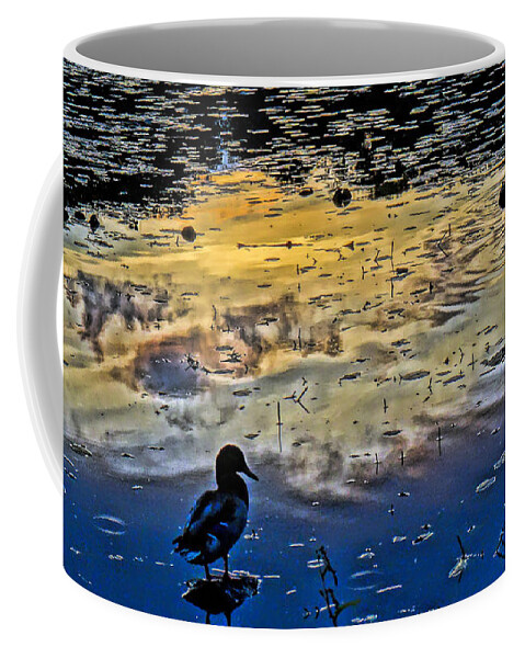 'ducks Coffee Mug featuring the photograph Pondscape by Jeffrey Friedkin
