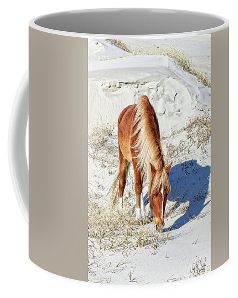 Alicegipsonphotographs Coffee Mug featuring the photograph Pony In The Dunes by Alice Gipson