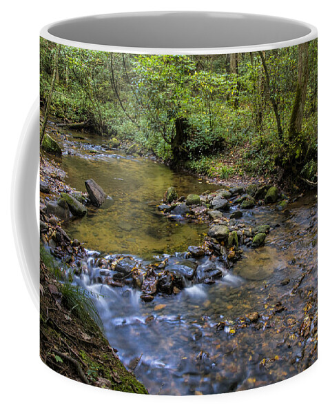 Cooper Creek Coffee Mug featuring the photograph Pool at Cooper Creek by Barbara Bowen