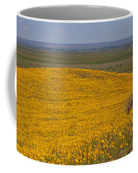 Yellow Wildflowers Coffee Mug featuring the photograph Mound of Gold by Jim Garrison