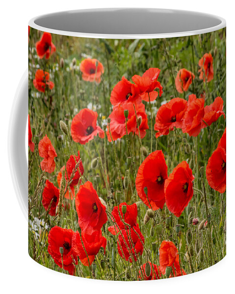 Poppies - Flowers - Field - Summer - Beauty - Colour - Nature Coffee Mug featuring the photograph Poppies 2 by Chris Horsnell