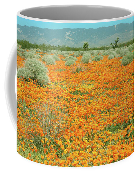 California Poppy Field Coffee Mug featuring the photograph Poppies for Ever - Poppy Fields Mojave Desert California by Ram Vasudev