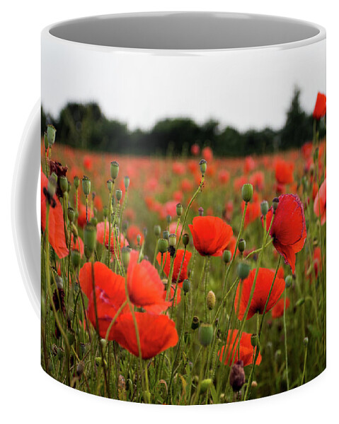 Landscape Coffee Mug featuring the photograph Poppies by Leah Palmer