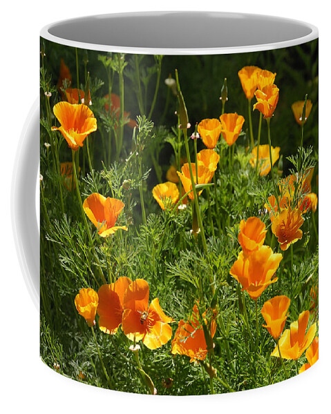 Flowers Coffee Mug featuring the photograph Poppies by Marc Bittan