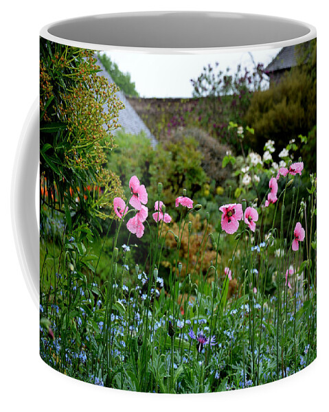 Flowers Coffee Mug featuring the photograph Poppies of the Great Dixter by Tatyana Searcy
