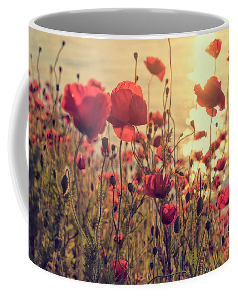 Poppy Coffee Mug featuring the photograph Poppy flowers at sunset by Patricia Hofmeester