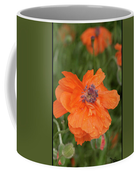 Poppy Coffee Mug featuring the photograph Poppy in Bloom by Peggy Dietz