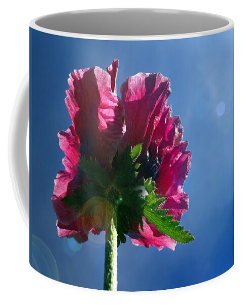 Back Side Of Flowers Coffee Mug featuring the photograph Poppy in the Sun by David T Wilkinson