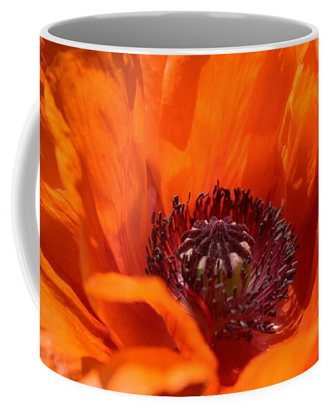 Poppy Coffee Mug featuring the photograph Poppy on fire by Nigel Radcliffe