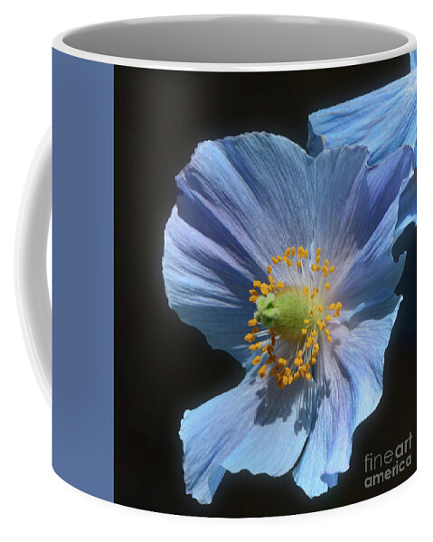 Flowers Coffee Mug featuring the photograph Poppy Presence by Cindy Manero