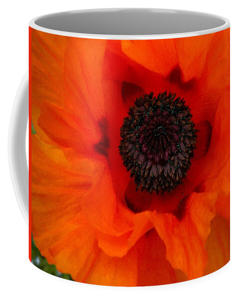 Orange Coffee Mug featuring the painting Poppy by Renate Wesley
