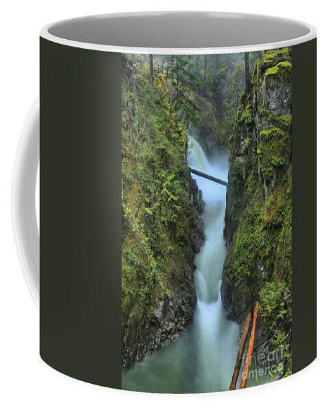 Qualicum Coffee Mug featuring the photograph Port Alberni Rainforest Waterfall by Adam Jewell