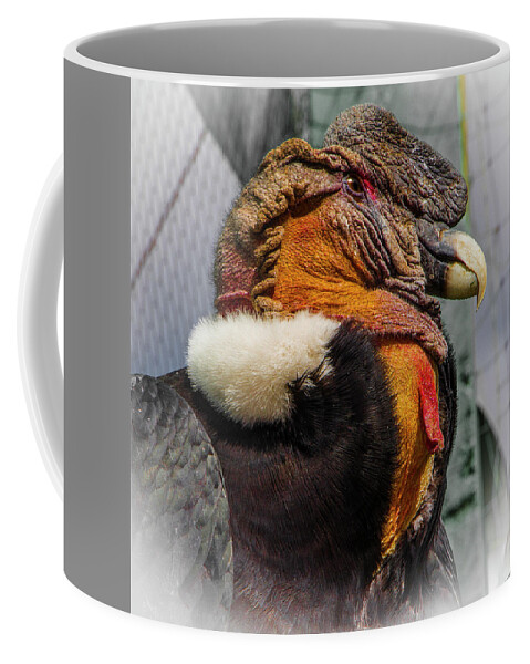 Animals Coffee Mug featuring the photograph Portrait of a Male Andean Condor, Peru by Venetia Featherstone-Witty