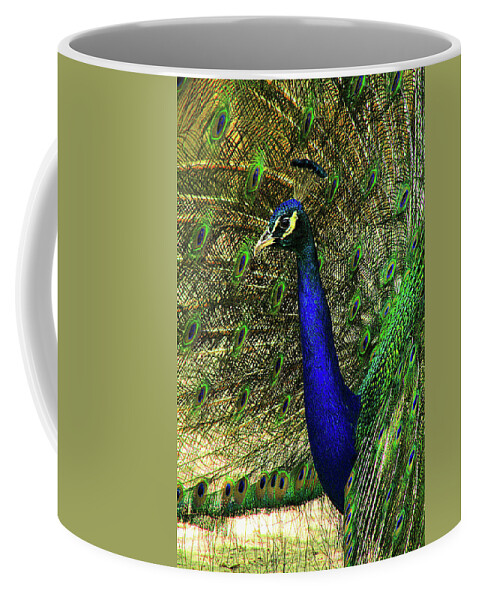 Peacock Coffee Mug featuring the photograph Portrait of a Peacock by Jessica Brawley