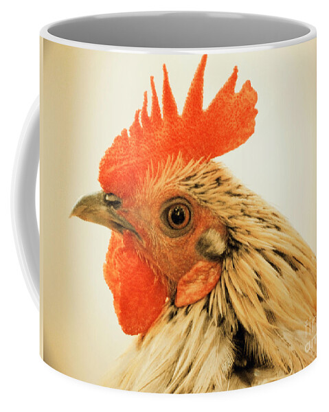 Rooster Coffee Mug featuring the photograph Portrait Of A Wild Rooster by Jan Gelders