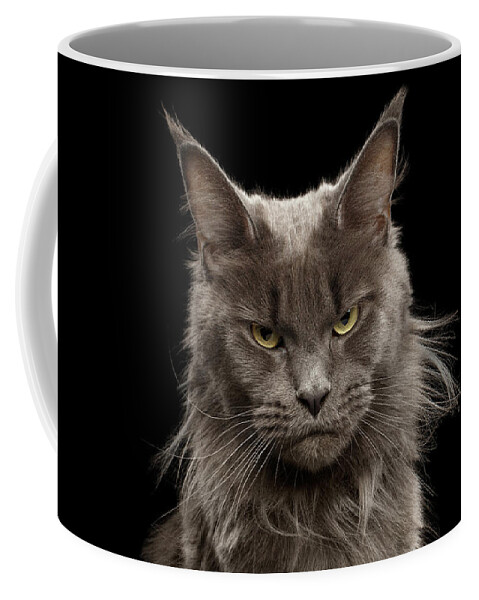 Portrait Coffee Mug featuring the photograph Portrait of Angry Maine Coon on black by Sergey Taran