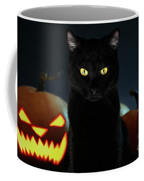 Portrait Coffee Mug featuring the photograph Portrait of Black Cat with pumpkin on Halloween by Sergey Taran