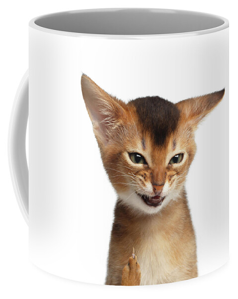 Kitten Coffee Mug featuring the photograph Portrait of Kitten with showing Middle finger by Sergey Taran