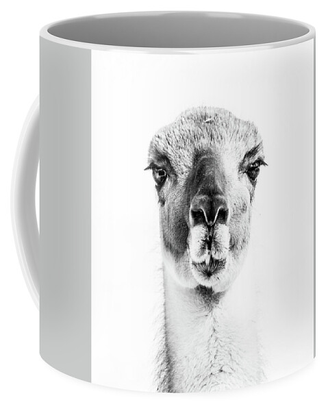Llama Coffee Mug featuring the photograph Llama by Subhadra Burugula