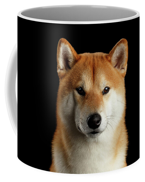 Shiba Coffee Mug featuring the photograph Portrait of Shiba inu by Sergey Taran