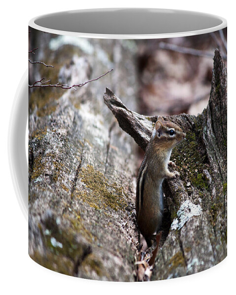 Wildlife Coffee Mug featuring the photograph Posing #2 by Jeff Severson