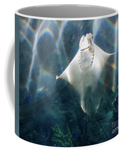 Fish Coffee Mug featuring the photograph Posing by Cheryl Del Toro