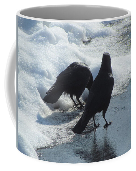 Two Crows Coffee Mug featuring the photograph Posing Crows by Betty Pieper