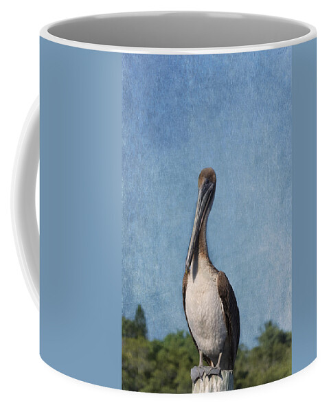 Pelican Coffee Mug featuring the photograph Posing Pelican by Kim Hojnacki