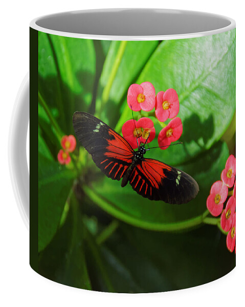 Darin Volpe Animals Coffee Mug featuring the photograph Red -- Postman Butterfly at Key West Butterfly and Nature Conservatory, Key West, Florida by Darin Volpe