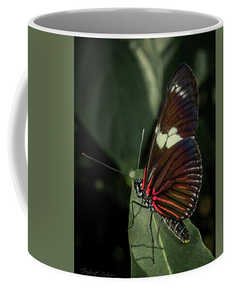 Butterfly Coffee Mug featuring the photograph Postman by Robert Culver