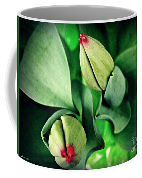 Tulip Coffee Mug featuring the photograph Potted Tulips Still Life  by Sarah Loft